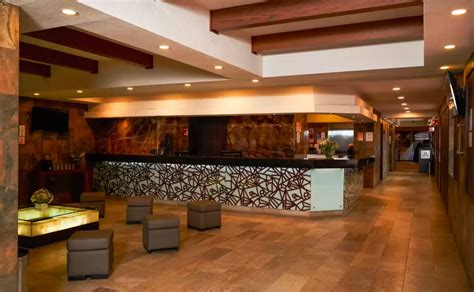 hotels pet friendly puebla|10 mejores hoteles que admiten mascotas en Puebla.